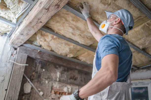 Best Crawl Space Insulation  in Victoria, VA