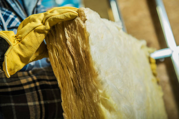Best Fiberglass Insulation  in Victoria, VA